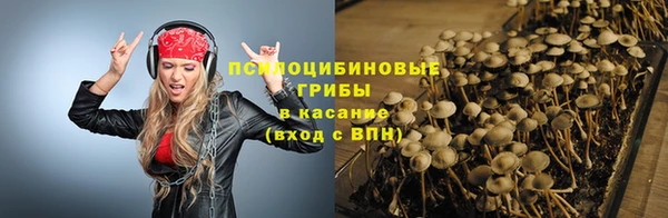 кокс Михайлов