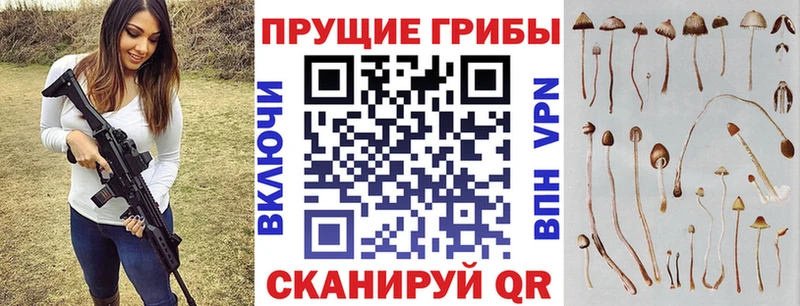 где купить   Красноярск  Псилоцибиновые грибы мухоморы 